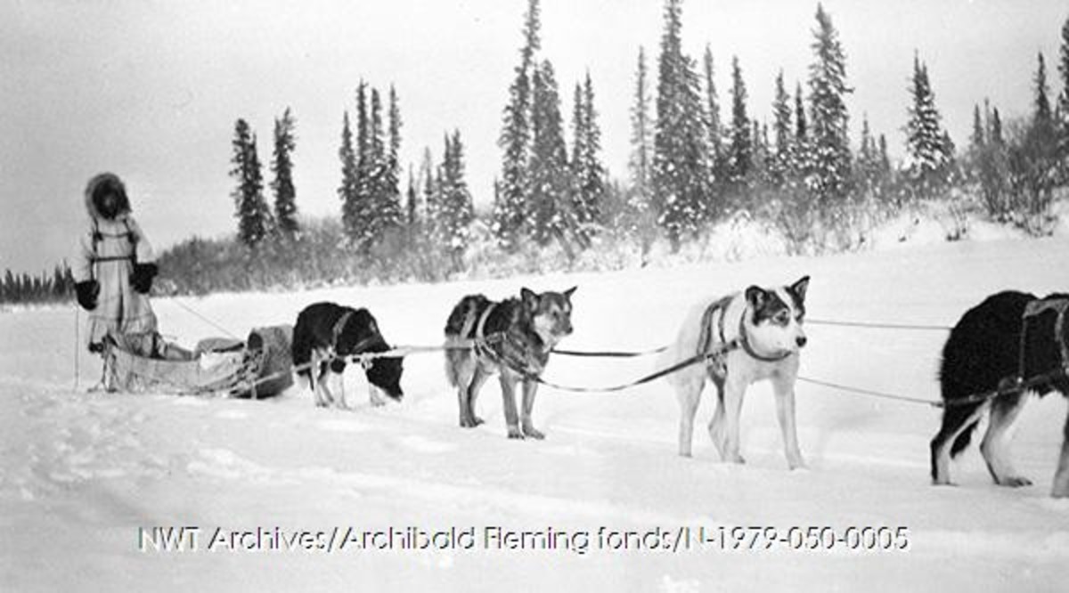 Lucy Nersoo [Nerysoo] with a team of 4 dogs, Aklavik, 1943.