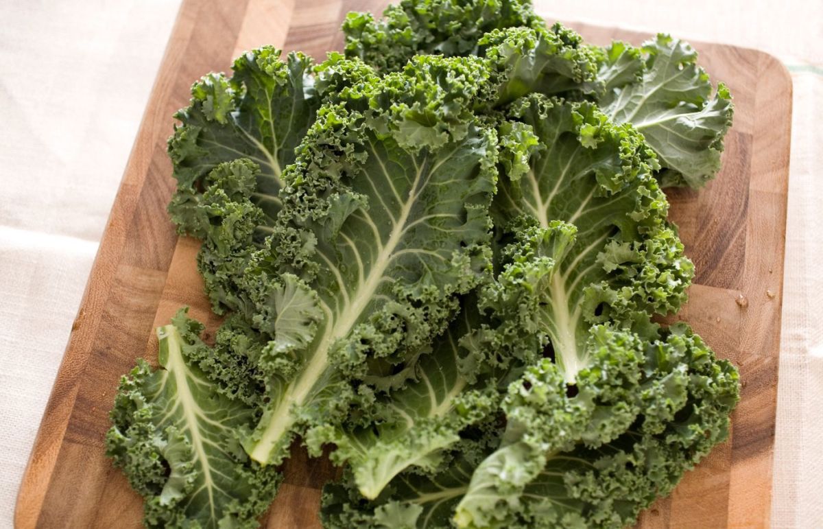 Can You Cook Kale That Has Turned Yellow?