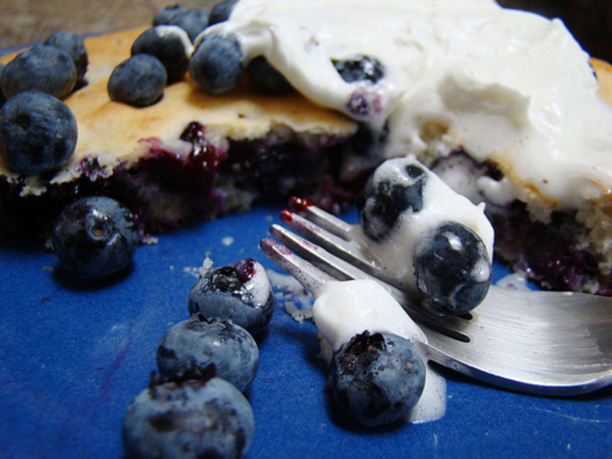 Blueberry griddle cake.