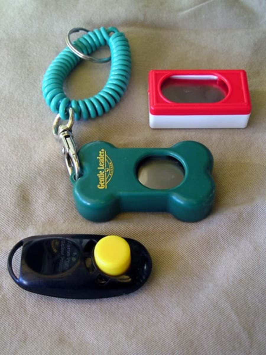 How Does Clicker Dog Training Work?