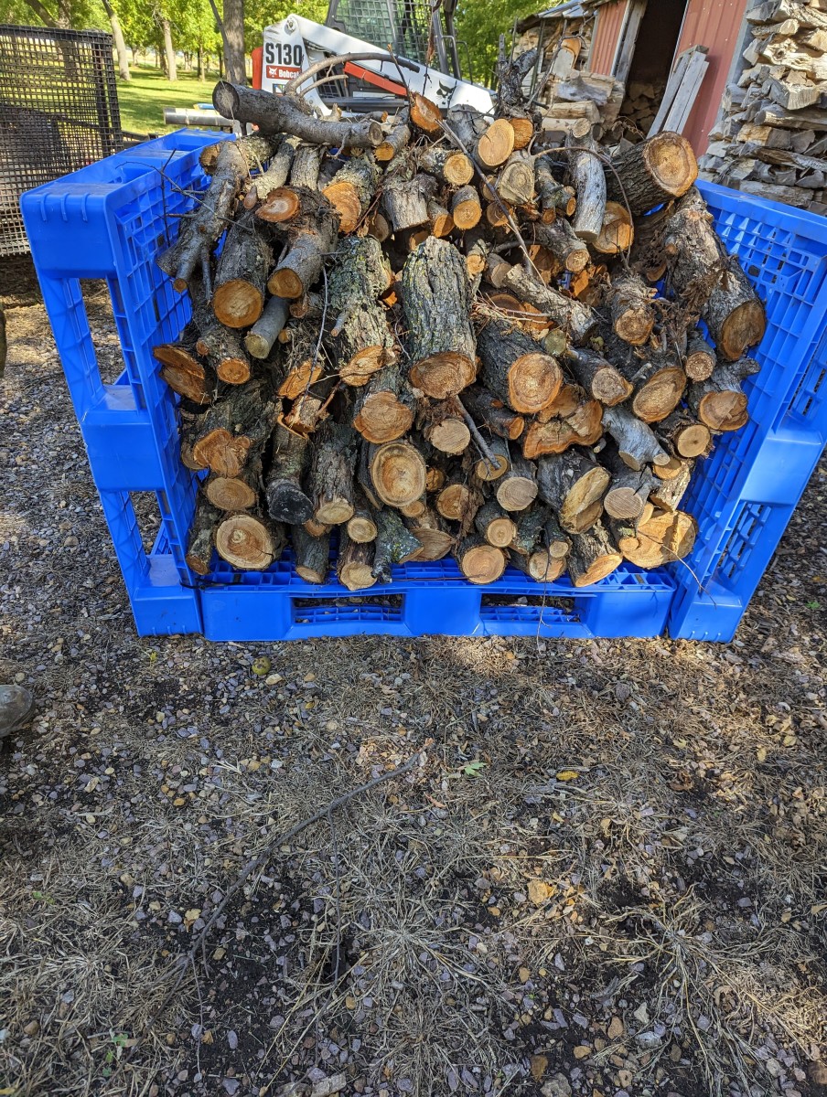 Storing Apple Wood for Smoking Meats