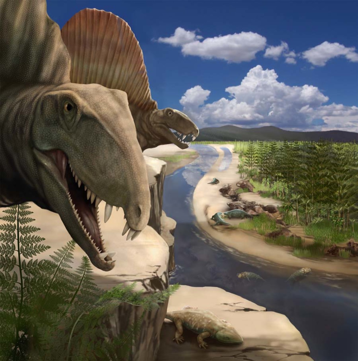 Dimetrodon & Edaphosaurus (Jurassic)