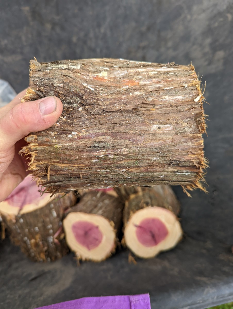 wood-lathing-fresh-cut-cedar