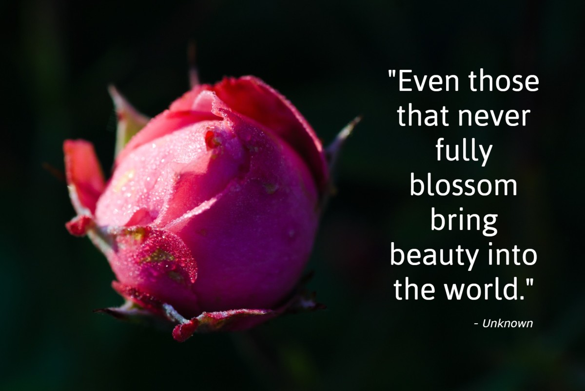 "Even those that never fully blossom bring beauty to the world." - Unknown