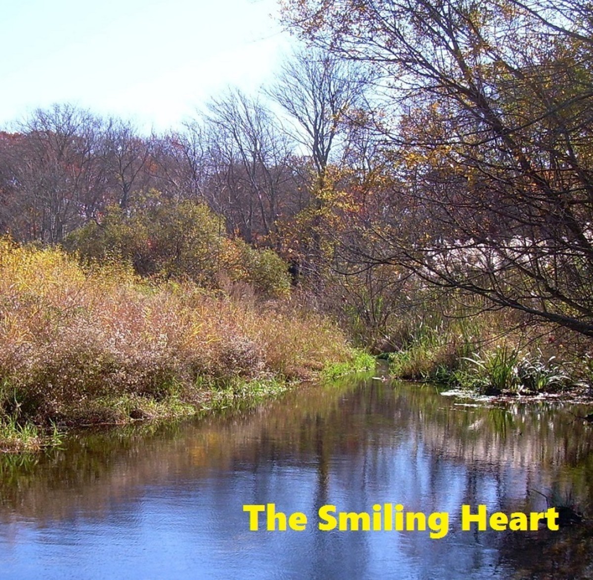 The Smiling Heart