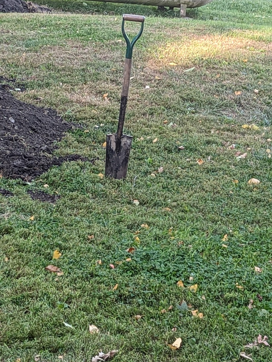 trenching-inch-by-inch-with-a-long-shovel