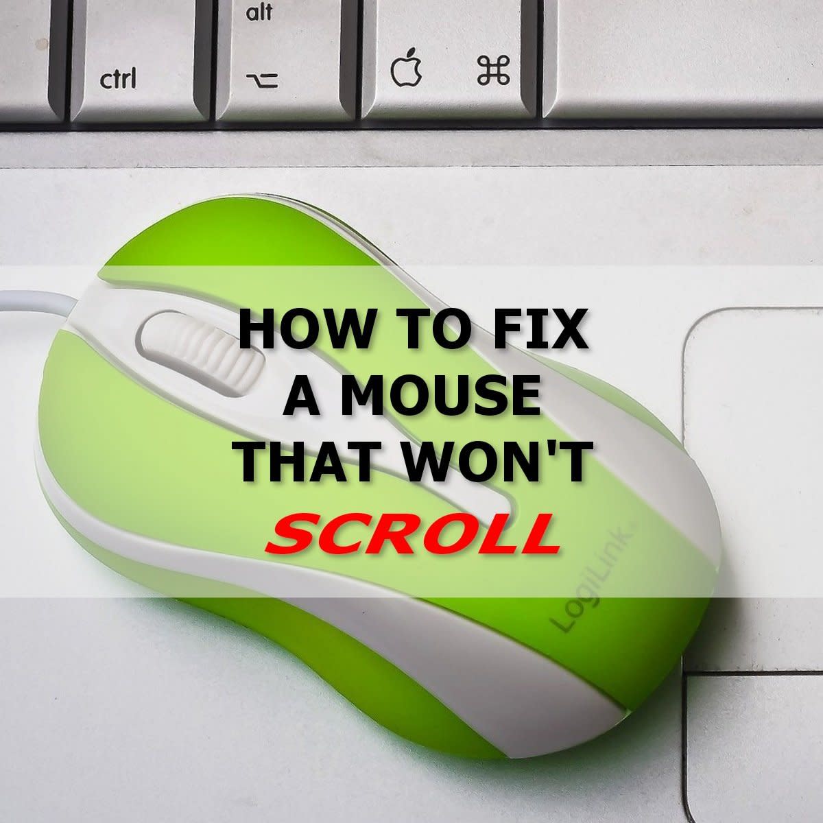 Help! I Can't Scroll With My Mouse! (How to Fix a Mouse Scroll Wheel)