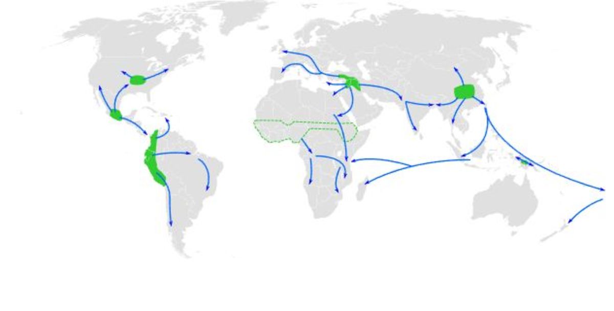 A map showing the spread of agriculture across the prehistoric world.