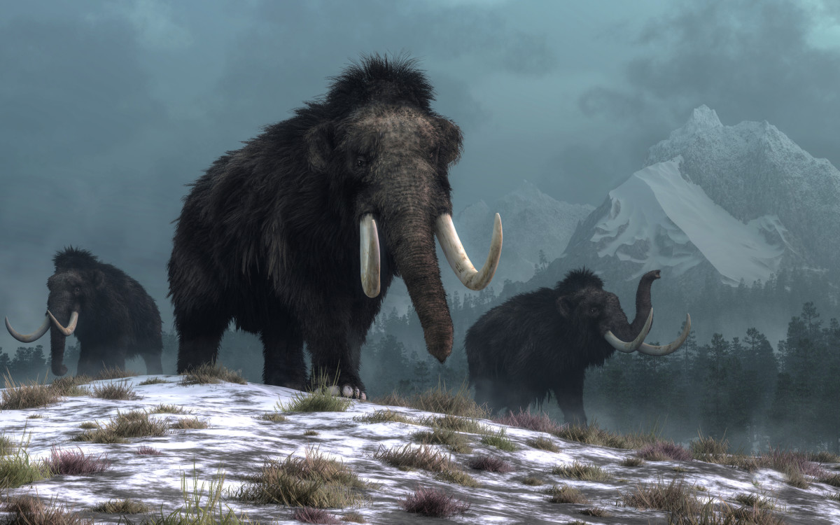 Humanity survived the Ice Age, and was able to found agriculture due to warming temperatures.