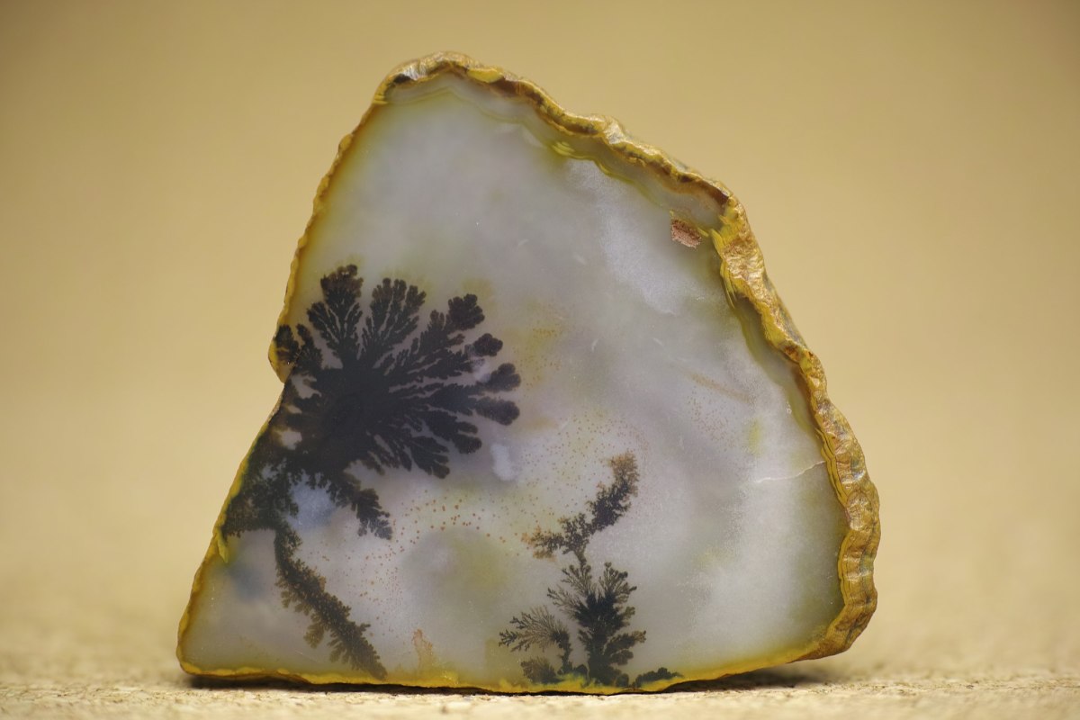 Dendritic agate has a strog link to the Earth and all aspects of nature. 