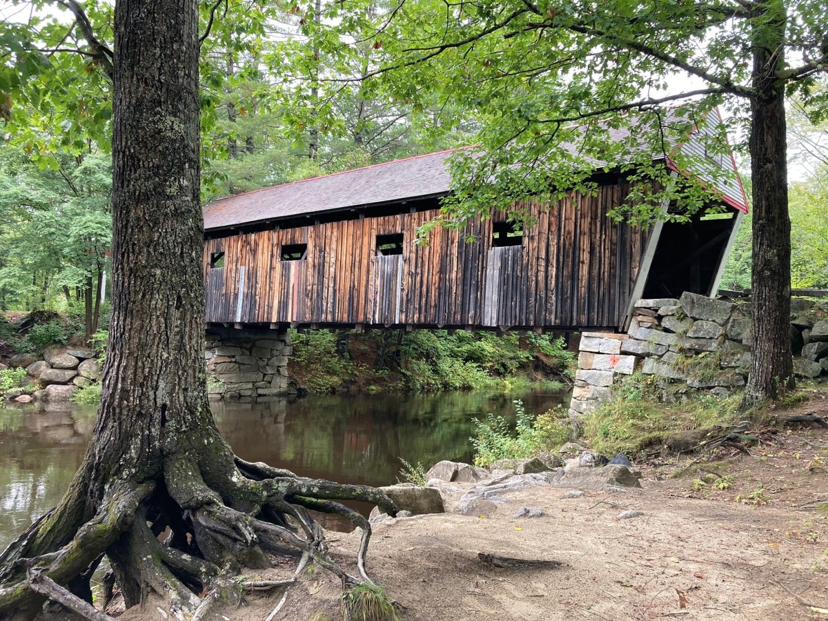 Lovejoy Covered Bridge - love that tree in the foreground 