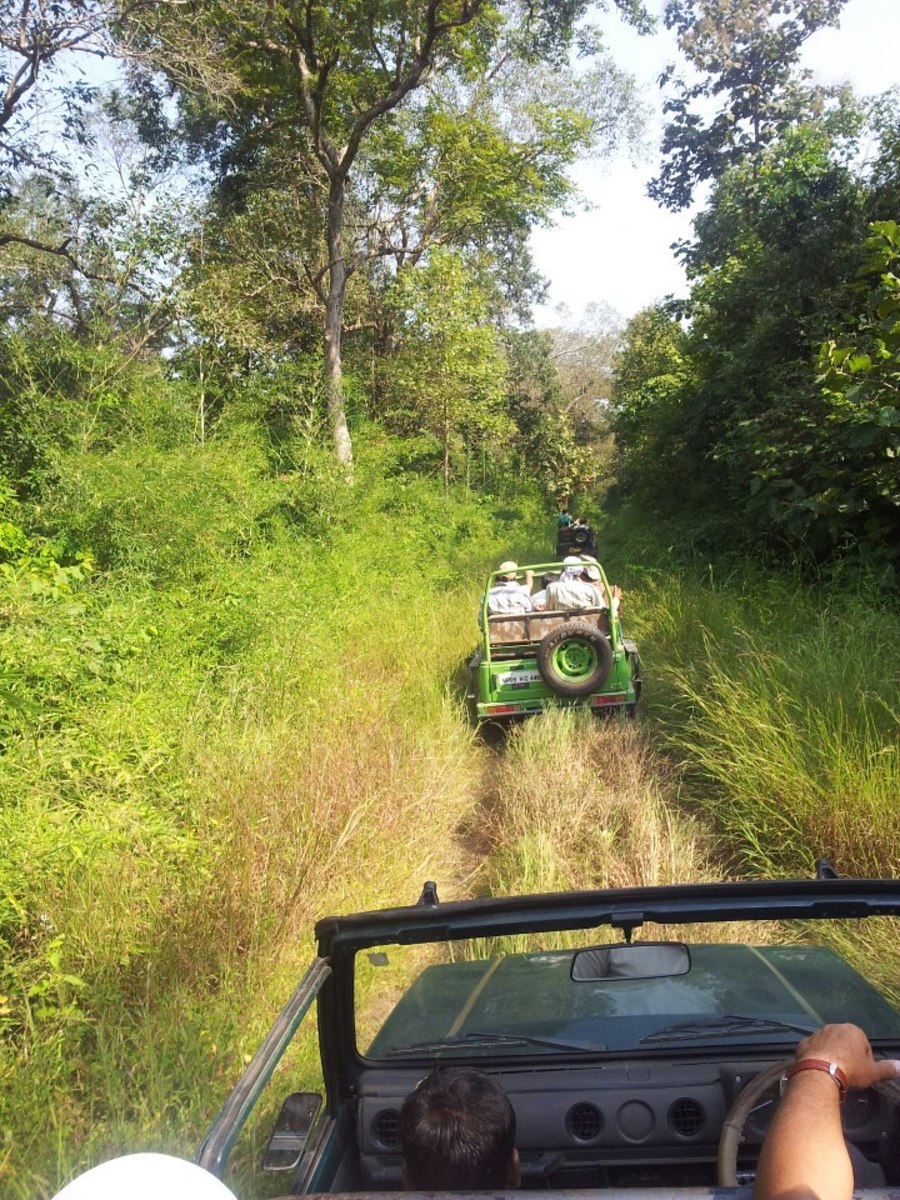 Open Jeep Safari