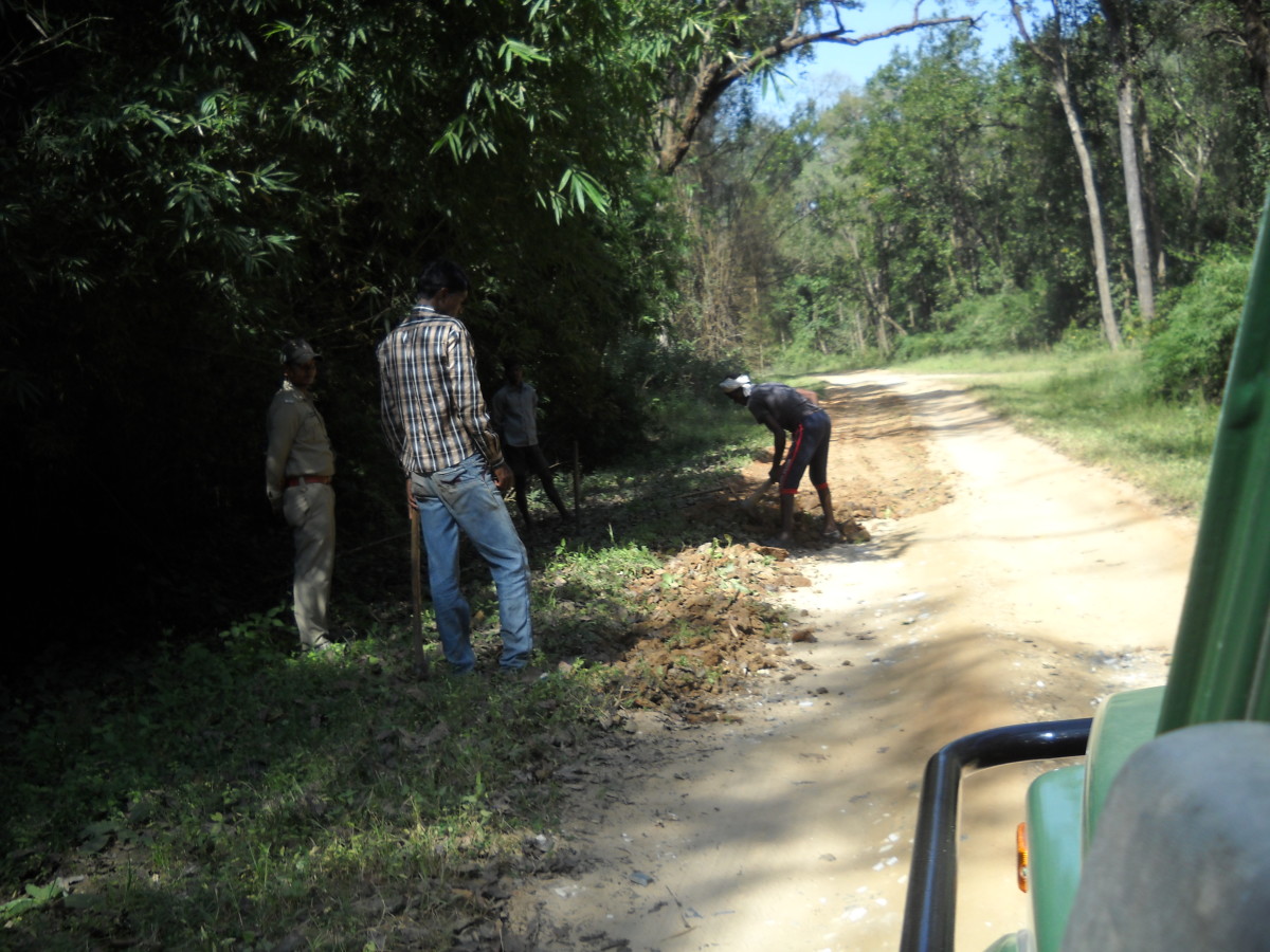 Laborers at Work in Kanha