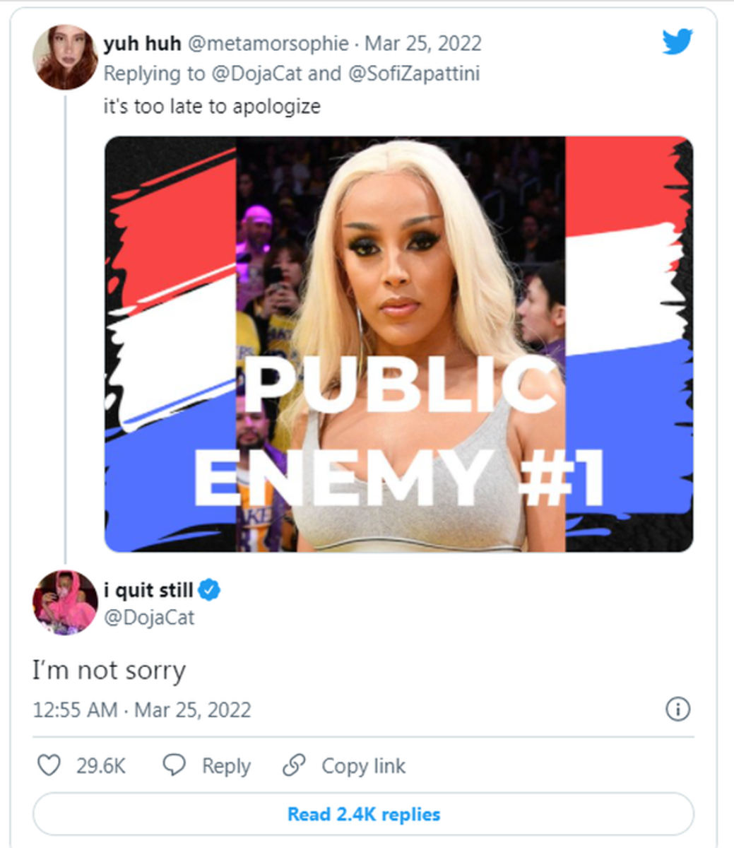 doja-cat-is-quitting-music-after-public-backlash