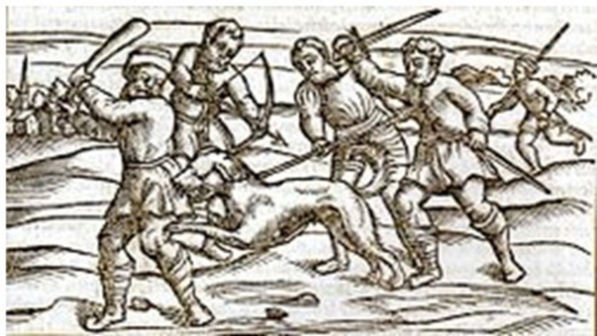 A woodcut from the Middle Ages showing a rabid dog.