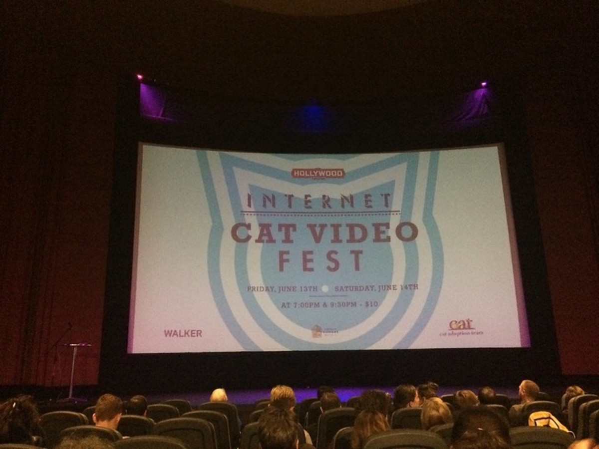 "Internet Cat Video Fest"
