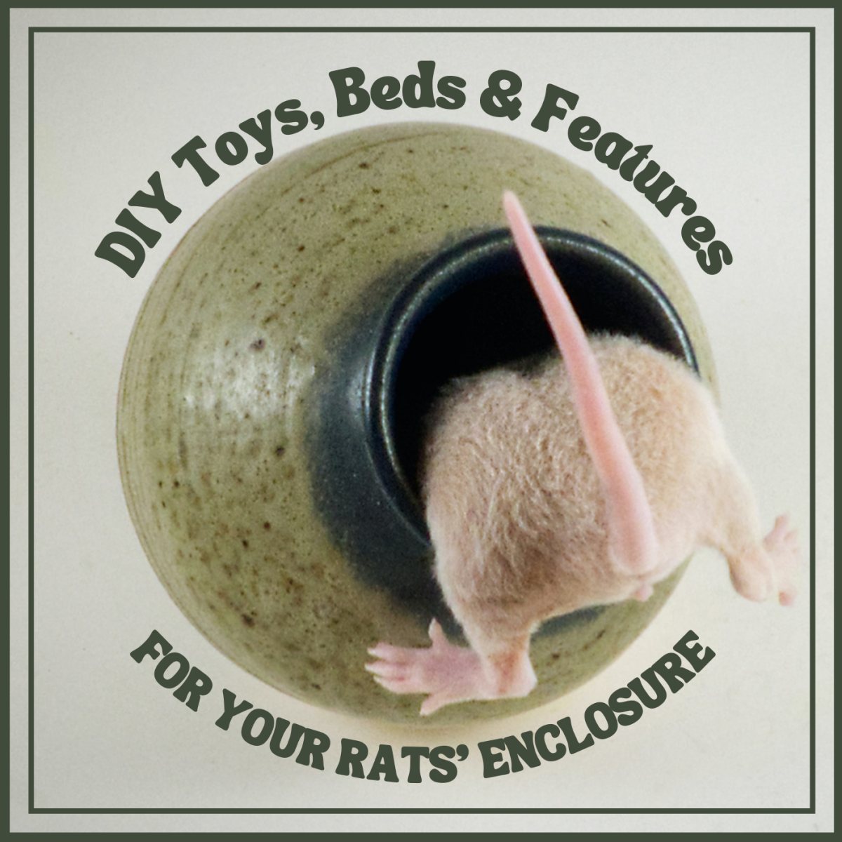 How to Create DIY Toys and Features for Your Rats’ Enclosure