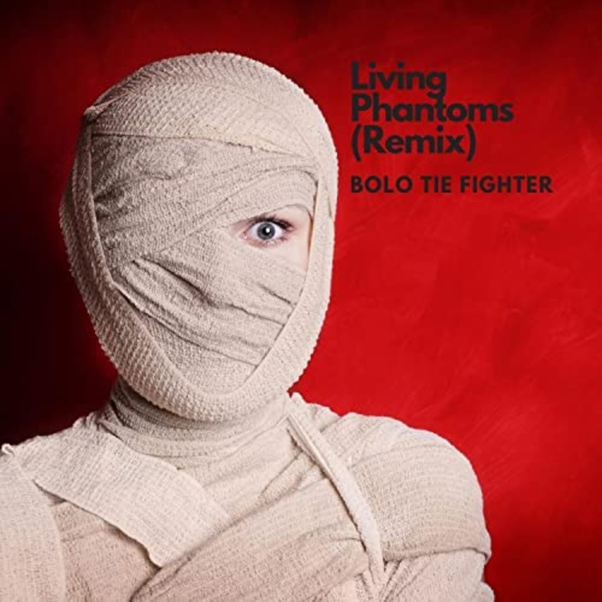 Synth Single Review Living Phantoms Remix By Bolo Tie Fighter Hubpages