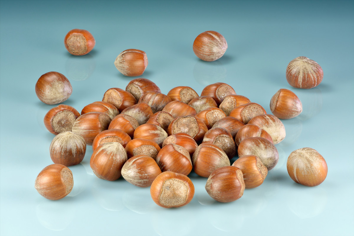 The Celts believed you could gain wisdom by eating a hazelnut.