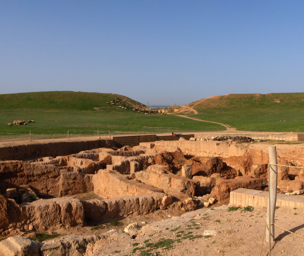 The ruins of Ebla, where archaeologists discovered what amounts to an ancient drug factory.