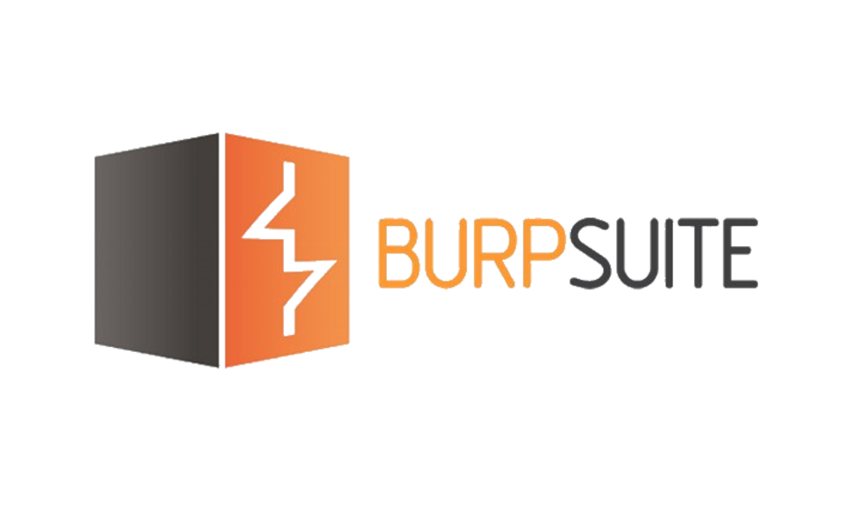 Bug Bounty Hunting With Burp Suite (Intercept, Repeater & Intruder)