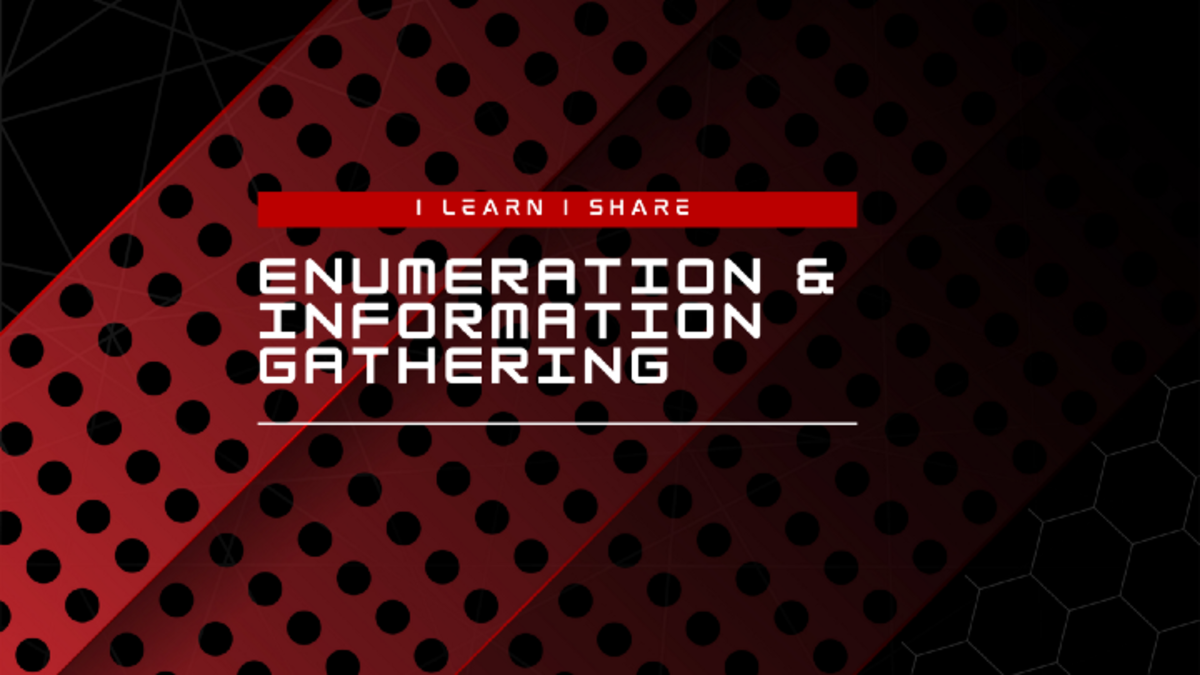 Website Enumeration & Information Gathering [Part 1]