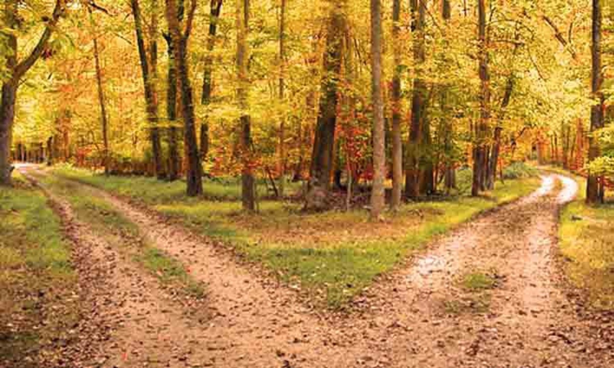 'The Road Not Taken' by Robert Frost: A Critical Analysis