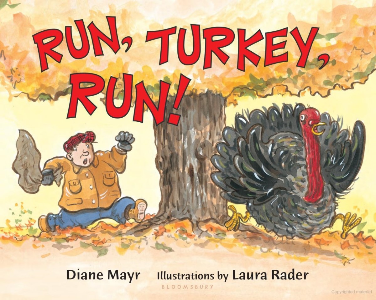 Run, Turkey, Run! by Diane Mayr and Lara Rader