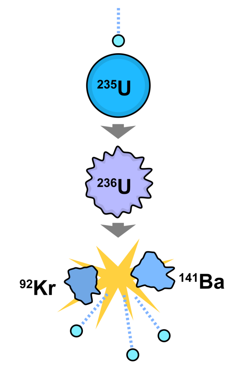 Diagram illustrating nuclear fission. A neutron is absorbed by a uranium-235 nucleus, turning it briefly into an excited uranium-236 nucleus. The uranium-236, in turn, splits into fast-moving lighter elements (fission products) and energy.