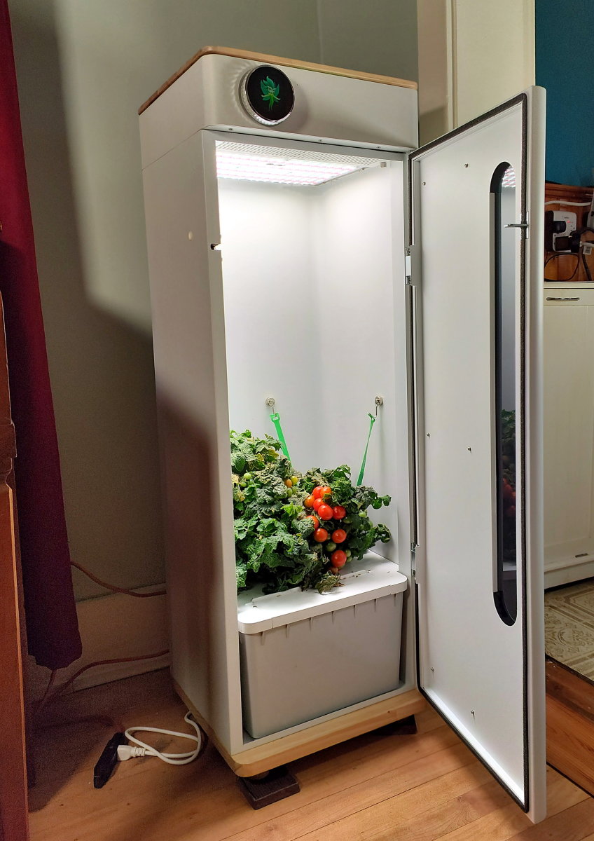 Review of the Abby Hydroponic Garden