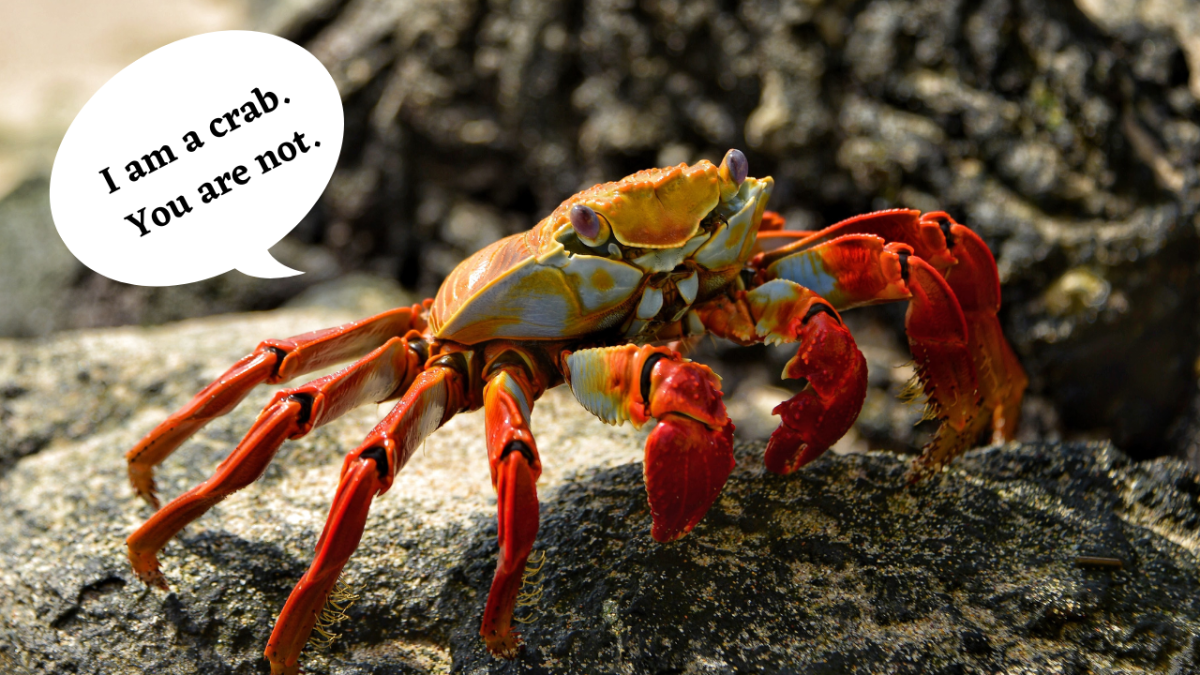 filipino-crab-mentality-in-a-positive-way