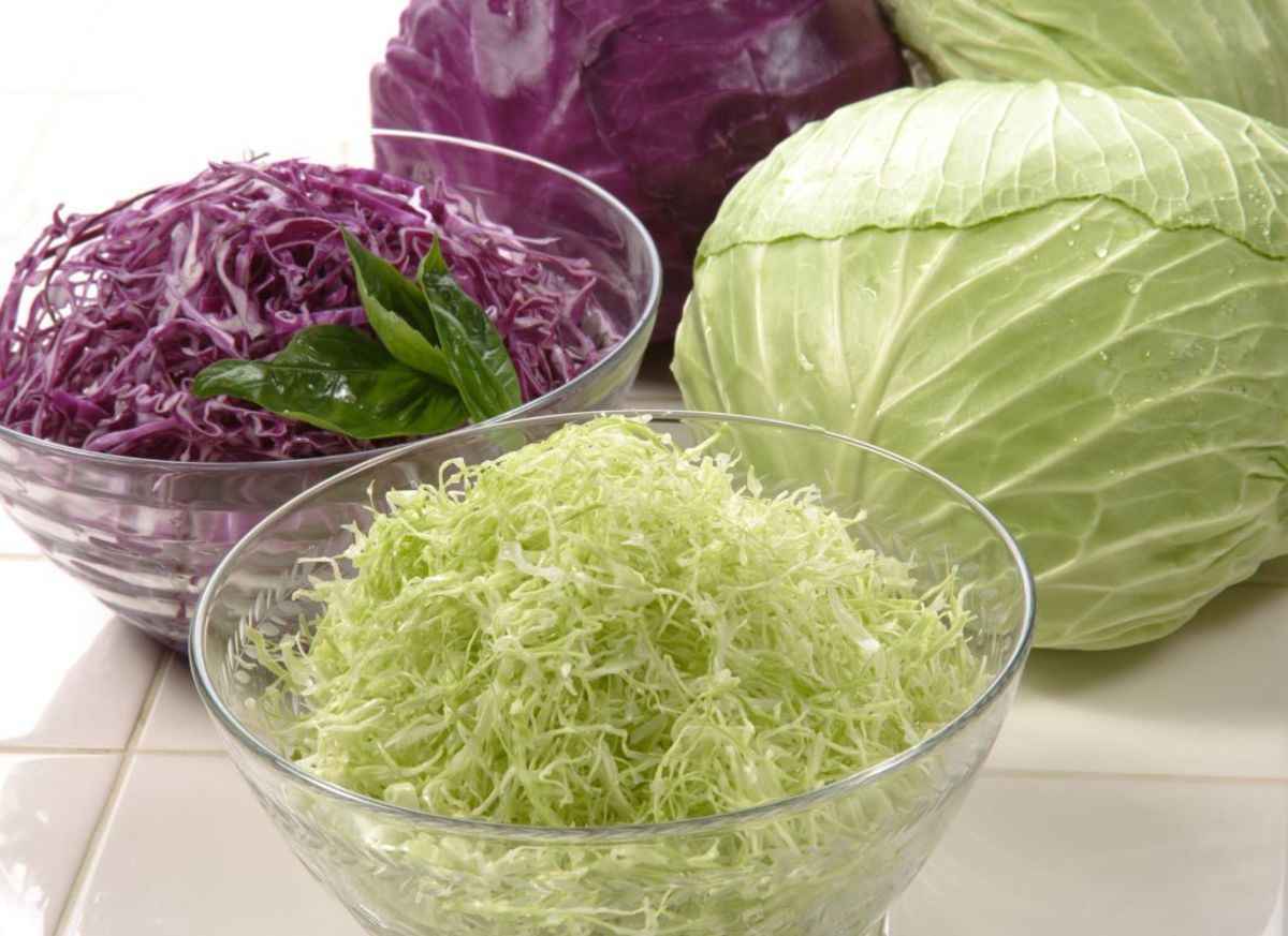 Why Does Cabbage Stink When You Cook It? Delishably