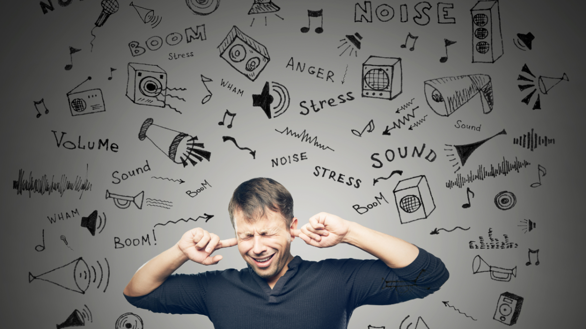 What Is Noise Pollution? Causes and Effects
