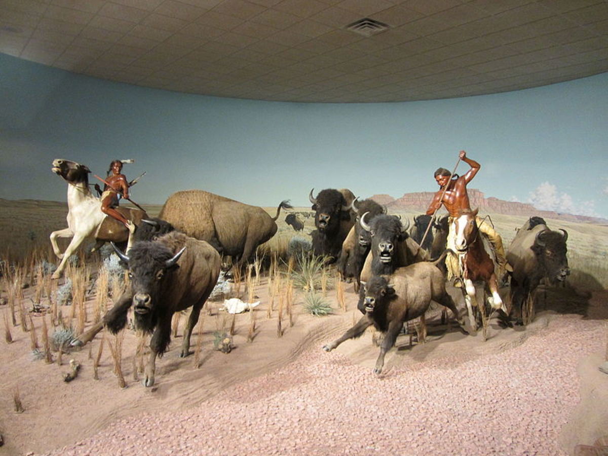 Without the massive herds of bison, plains Indians became destitute.