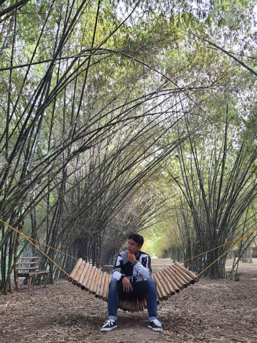 Bamboo Forest - Medellin Cebu