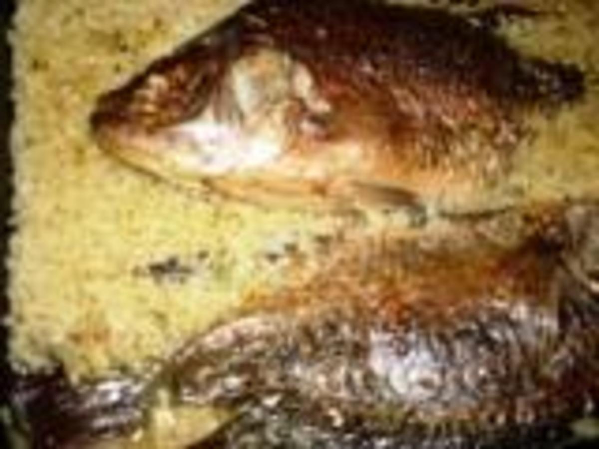 How to Cook Tilapia Fish Dinner - Healthy, Delicious and Inexpensive