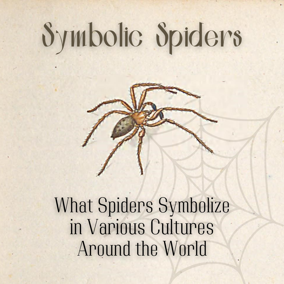 蜘蛛的文化解读:世界各地蜘蛛的象征意义