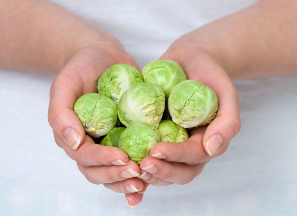 How to Pick Brussels Sprouts at the Grocery Store