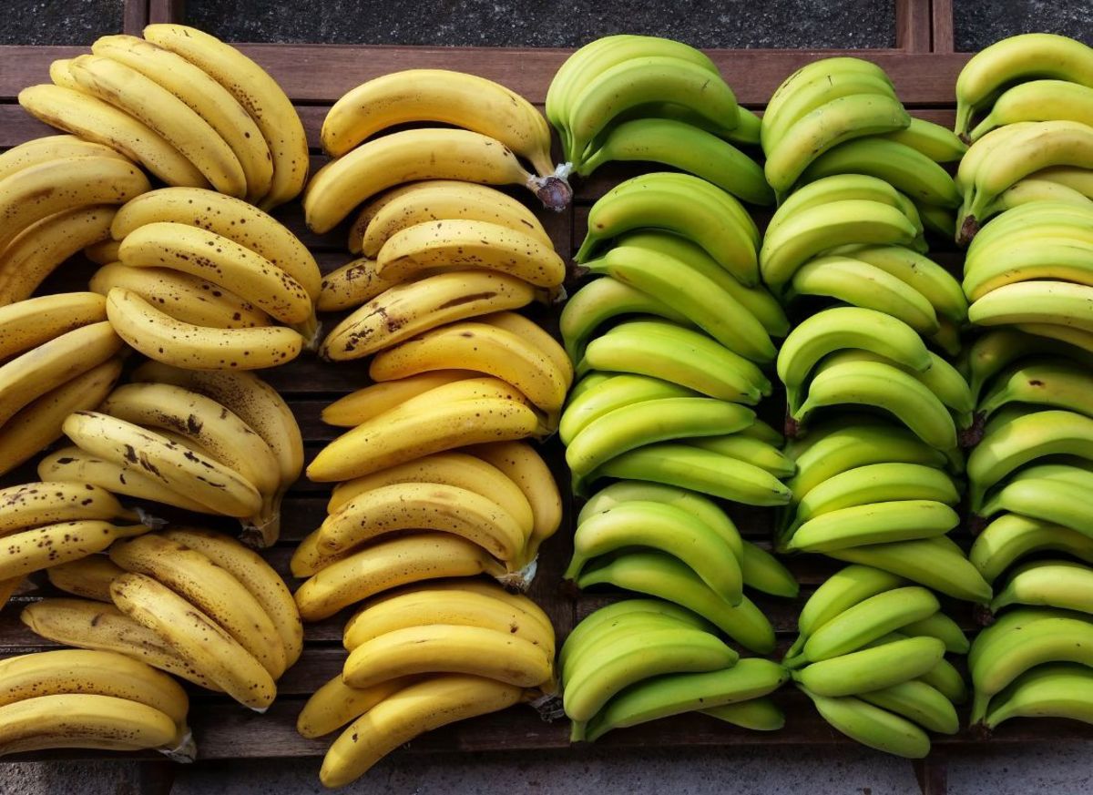 are-bananas-weight-loss-friendly