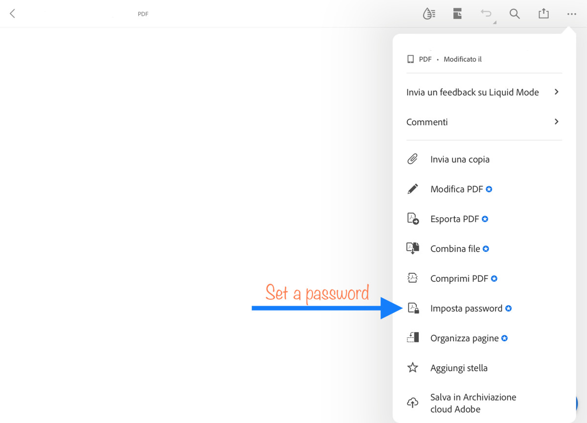 Adobe Acrobat's Password Protection Feature on iPad Devices