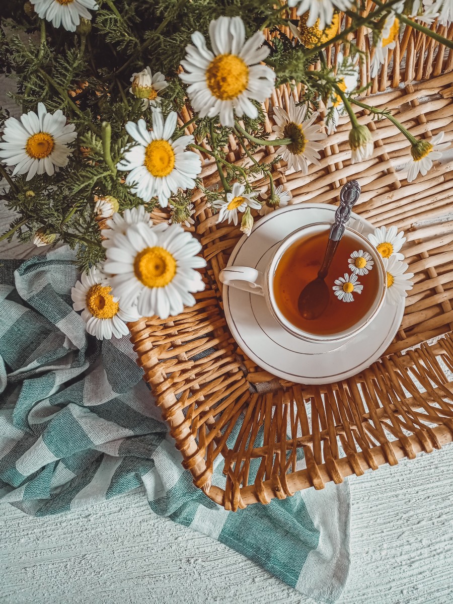 Chamomile alternative therapy against stress