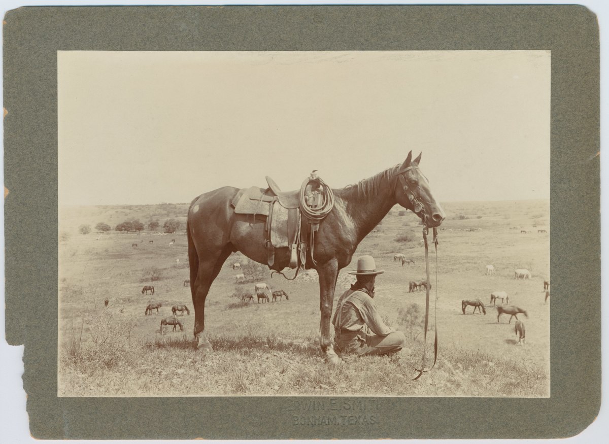 Photo of a working cowboy taken in Bonham, Texas by Erwin E. Smith, 1917