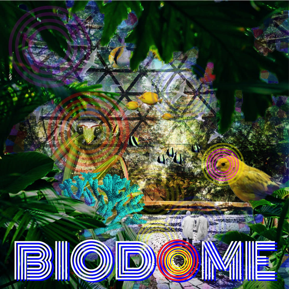 ambient-single-review-biodome-by-living-pictures