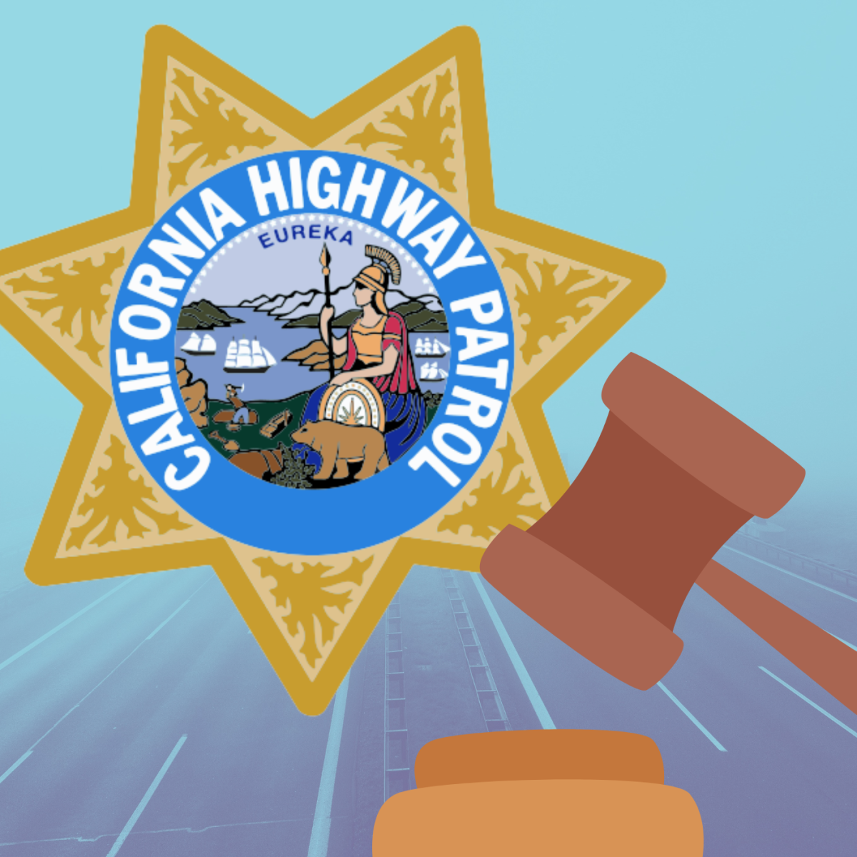 The CHP was sued by the Catsouras family. The case was eventually settled.