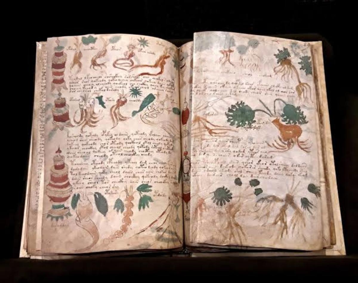 Voynich's Mysterious Manuscripts