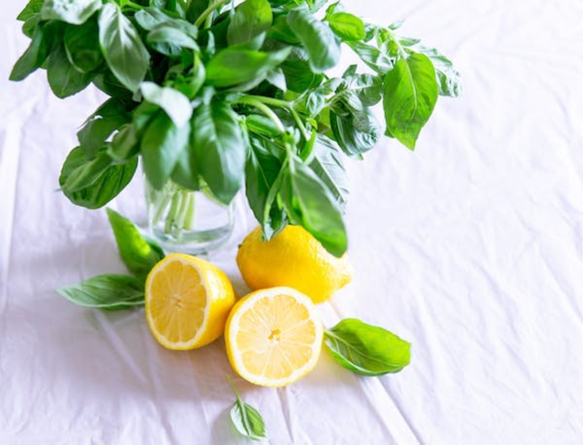 Top 13 Lemon Health Benefits and Why You Should Consume Them