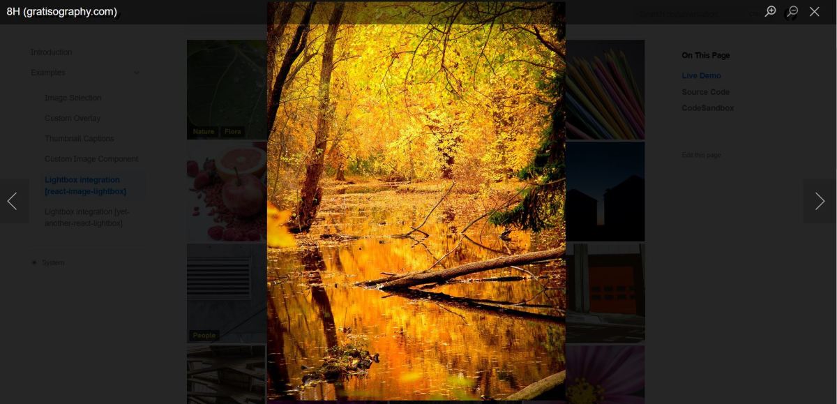 React Grid Gallery can also be integrated with a lightbox solution. There's a demo of this on the official website.