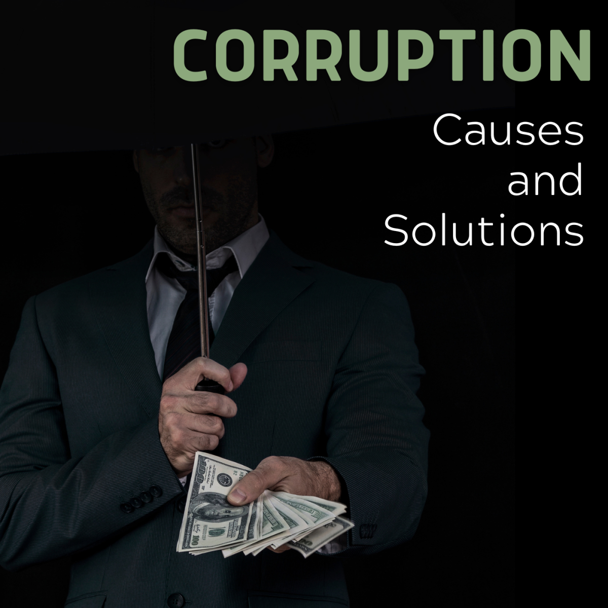 Corruption: Causes and Solutions