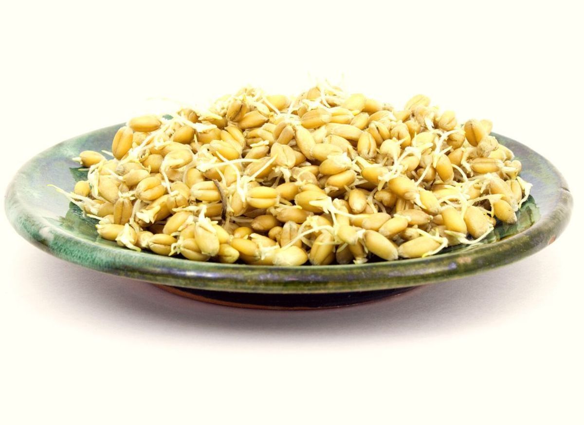 are-sprouted-grains-easier-to-digest