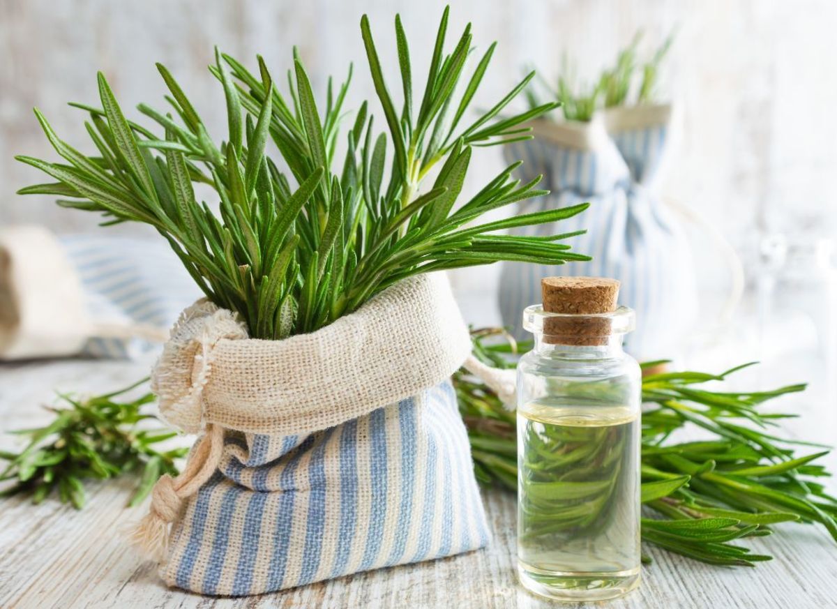 9 Amazing Ways to Use Rosemary for Health, Nutrition, and Beauty